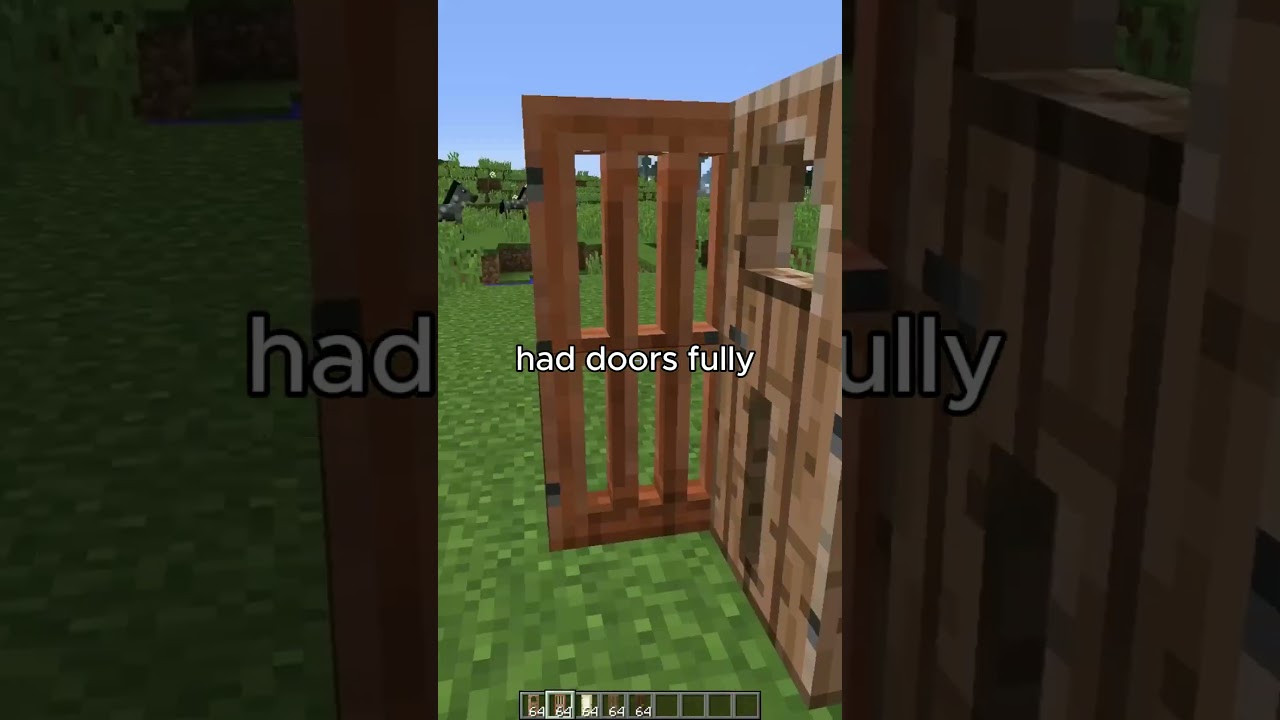 В Minecraft были полностью смоделированные двери в одном снимке экрана.