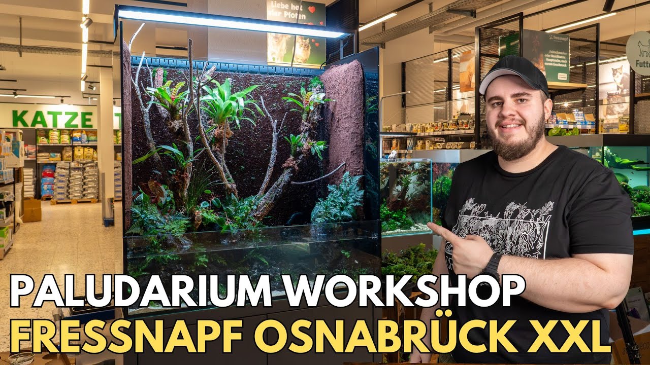 Paludarium Workshop im Fressnapf Osnabrück XXL