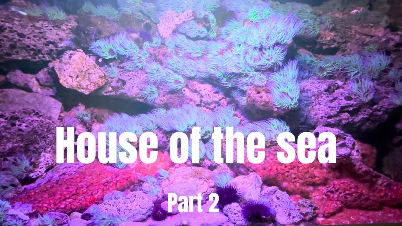 Haus des Meeres | a very special Aquarium in Vienna