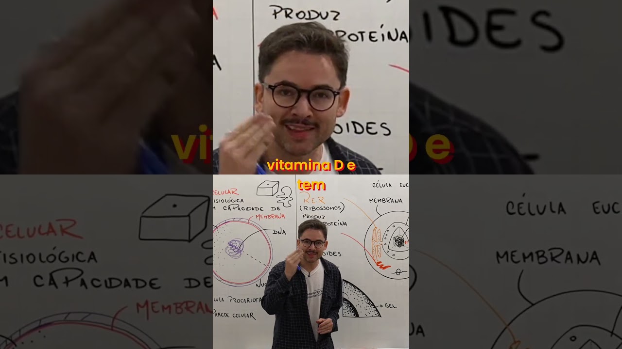 Colesterol  O Esteroide Essencial para a Sa&uacute;de Hormonal