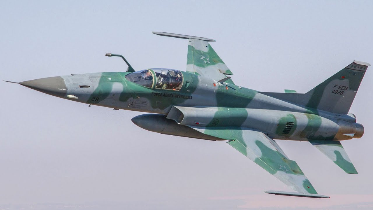 F-5EM Fighter Jet - Brazilian Air Force