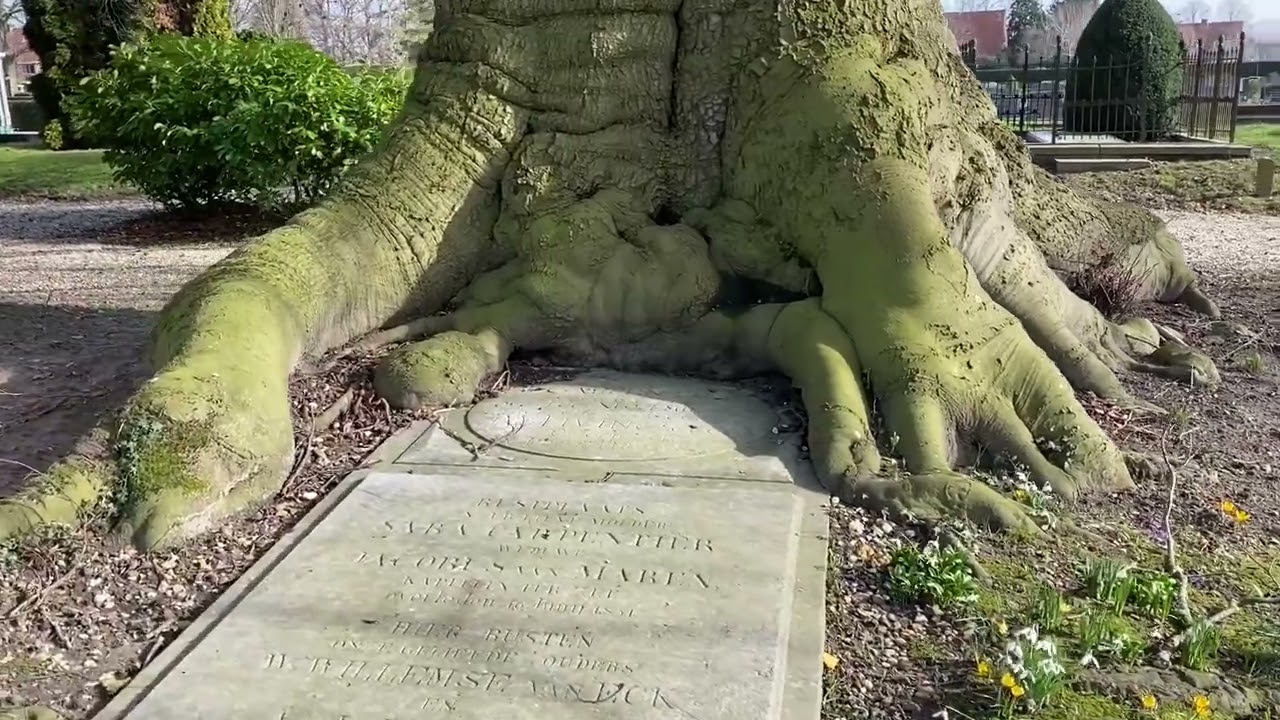 Oude Beuk🍃, Capitein ter Zee: begraafplaats Sparrendreef Vianen🌳🇳🇱