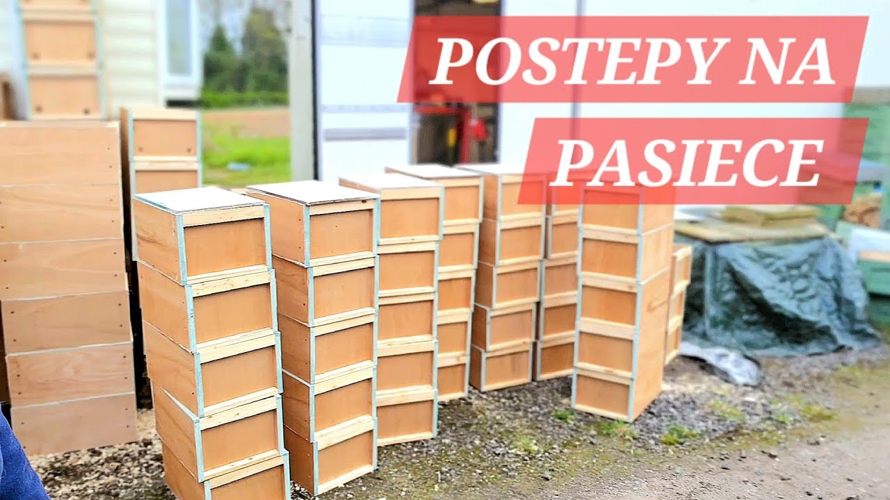 POSTEPY NA PASIECE, Papierowe uliki transportowe #ule #pszczoły #pszczelarz