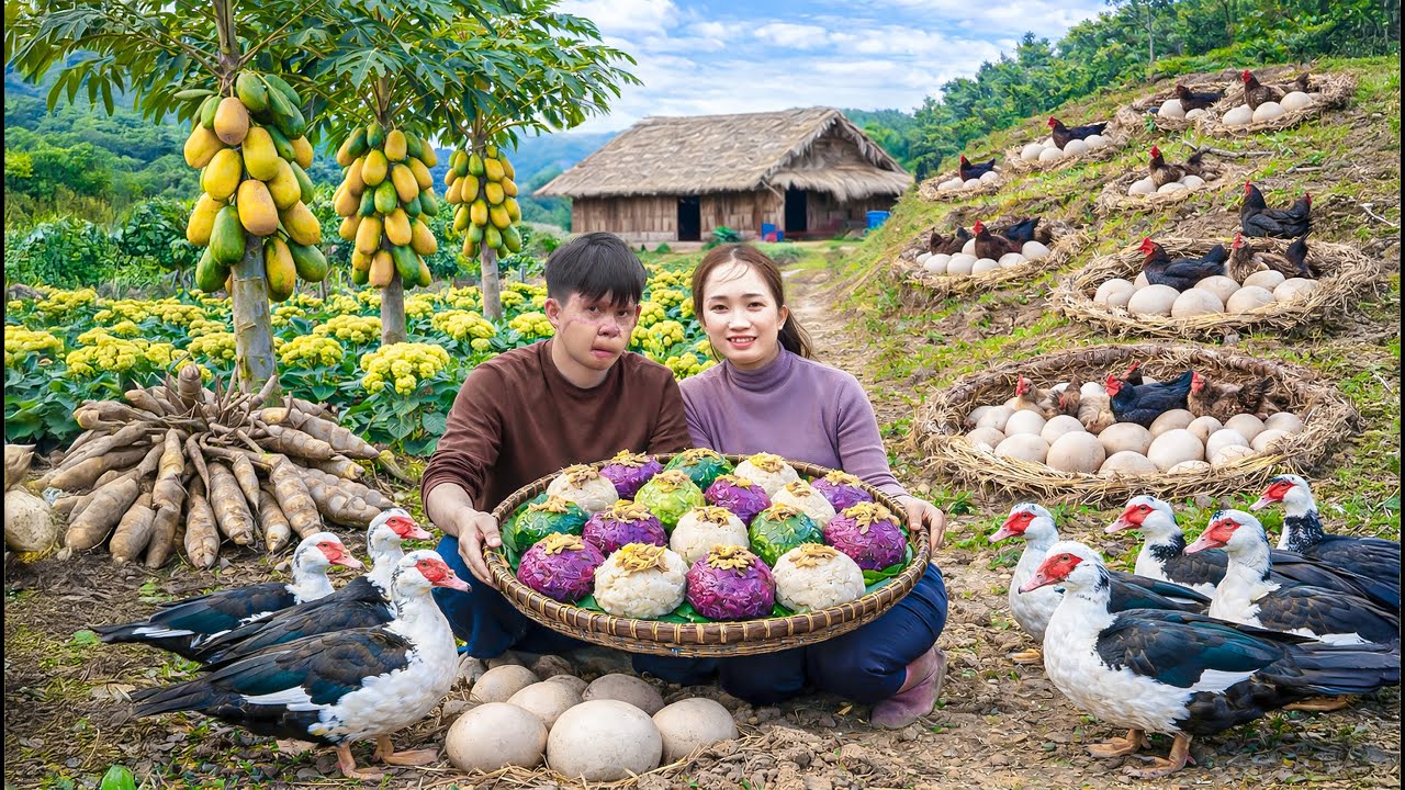 Harvesting Giant Wild Roots & Egg Cauliflower... Making Unusual Color Cakes | Rural Life Vietnam