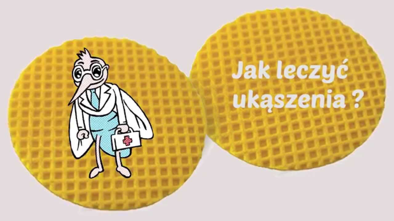 Jak pozbyć się śladów po ugryzieniu komara? Plaga