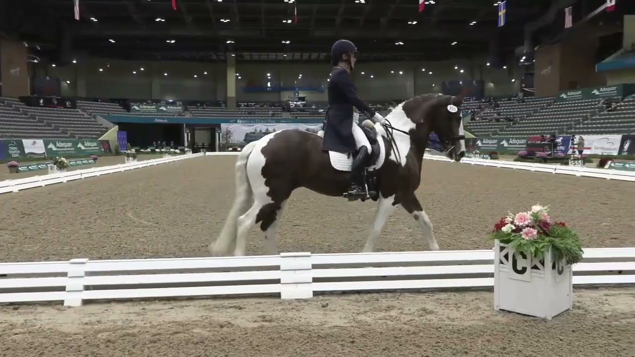 Friesian Sporthorse Adiah HP pranced to a 2022 U.S. Dressage Finals win with Ashley Maul!