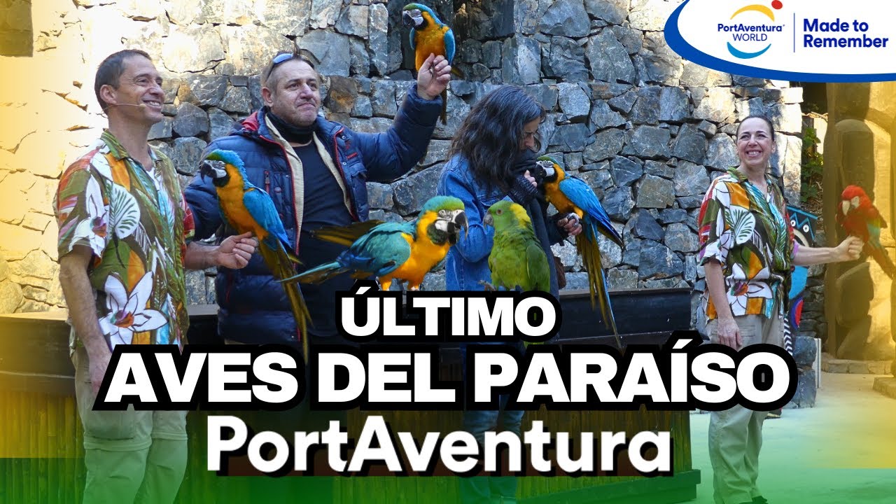 Último AVES DEL PARAÍSO de la Historia [4K] PortAventura WORLD
