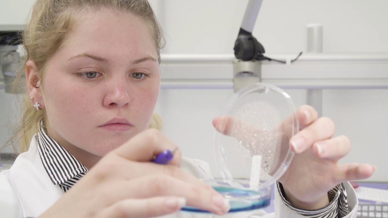 Royal GD: al meer dan 100 jaar toegewijd aan diergezondheid