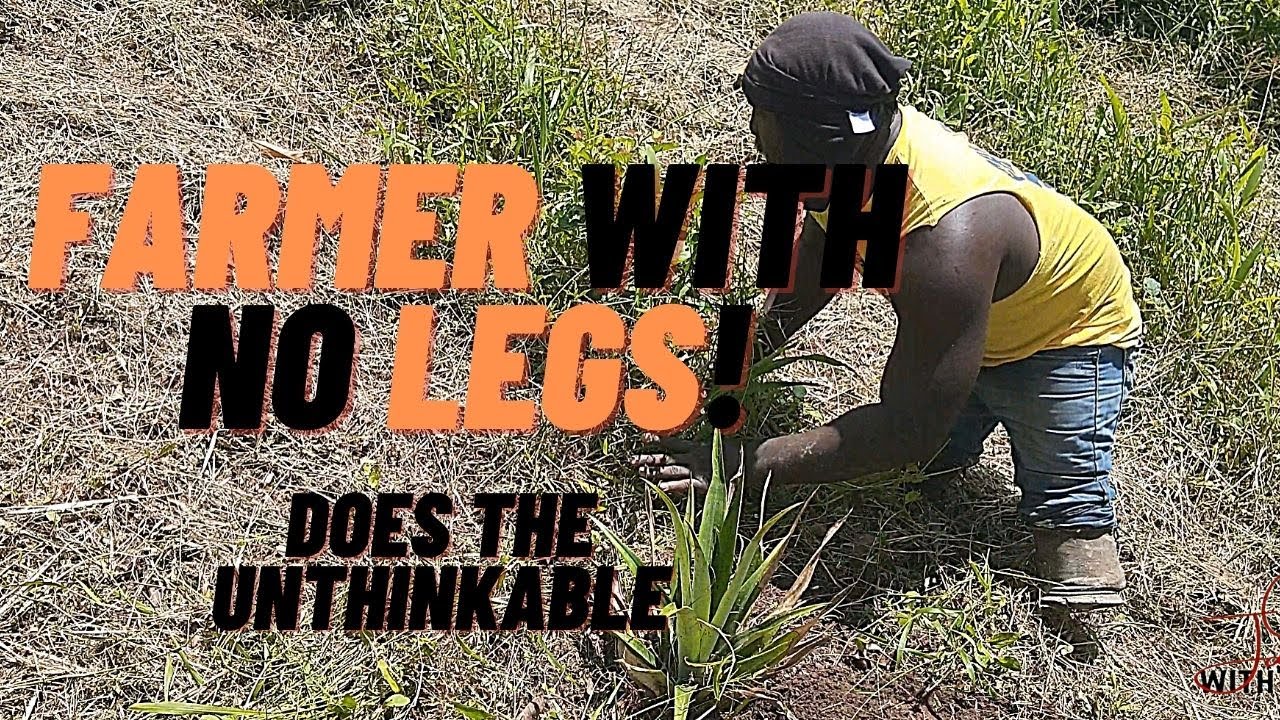 JAMAICAN FARMER WITH NO LEGS| WORKING HARD IN SPITE OF LIFE CHALLENGES| SIMON CLARENDON JAMAICA