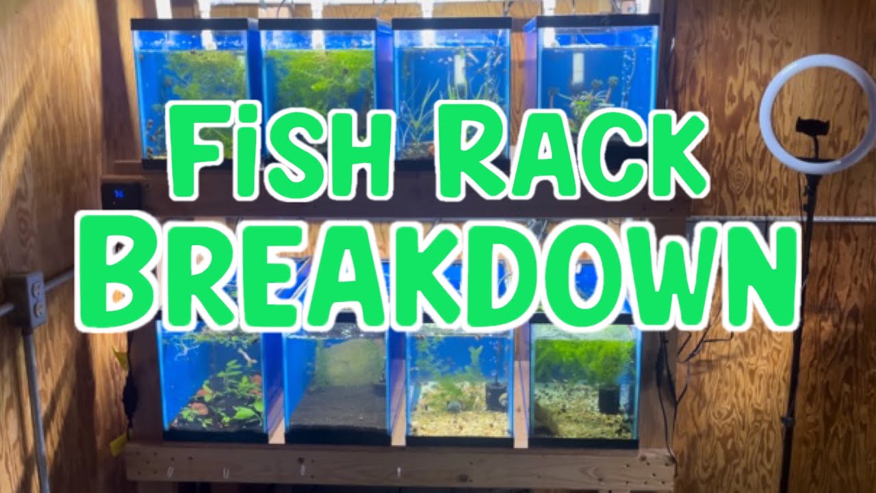 8 - 10 Gallon Fish Tank Rack System Breakdown