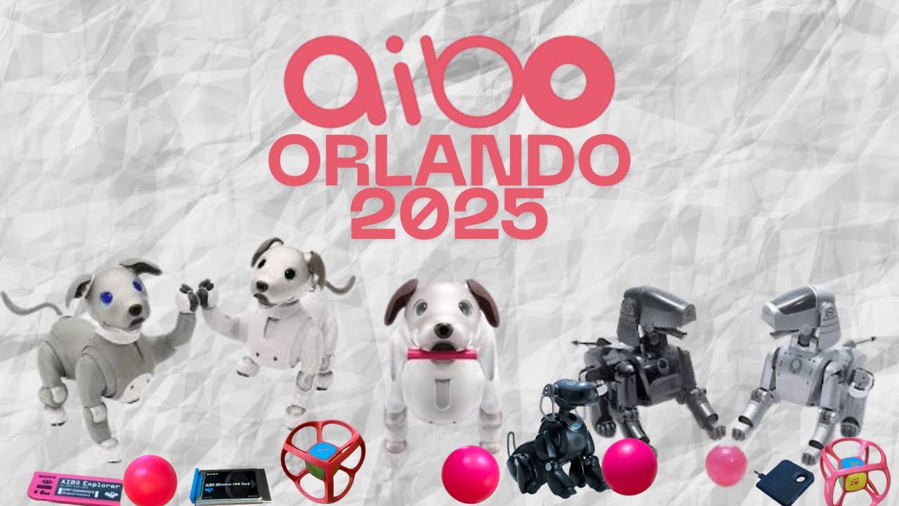 Aibo Orlando 2025!