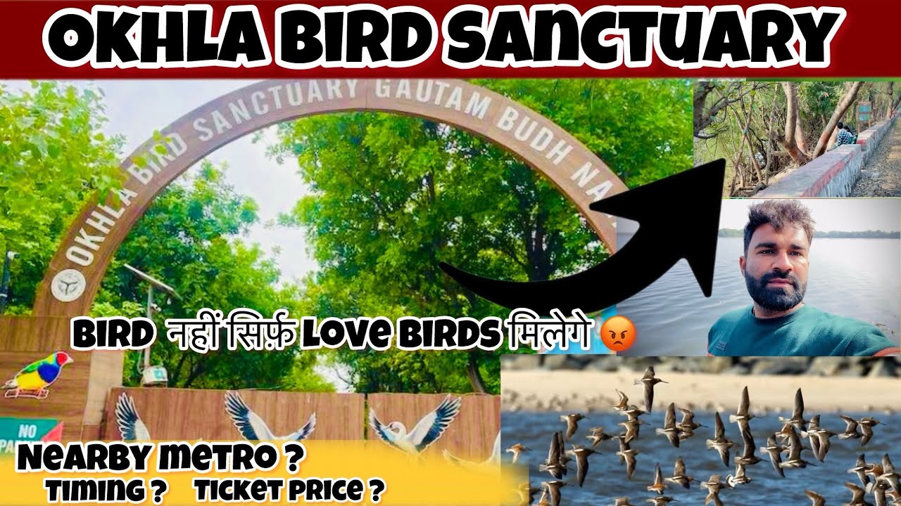 Okhla Bird Sanctuary Noida 2026 | Best Place For Couples | Okhla Bird Sanctuary Full Detail | VlOG23