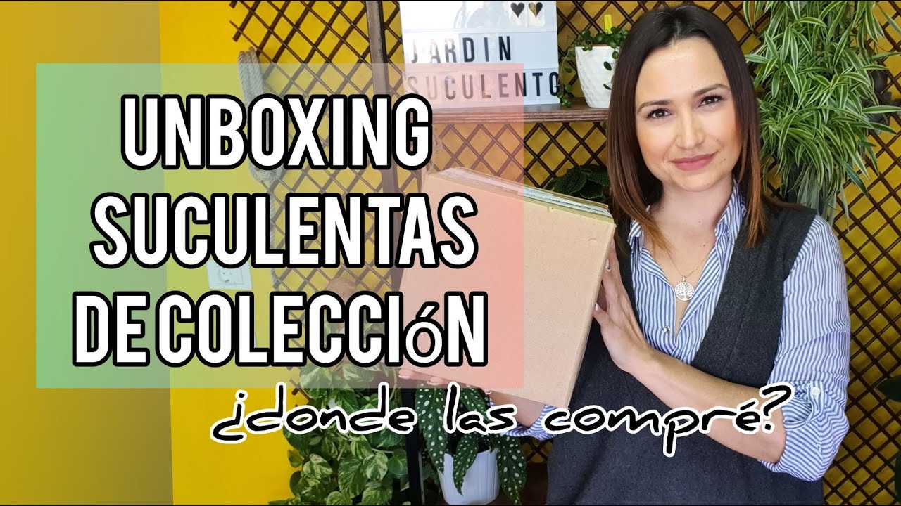Unboxing suculentas más bonitas que he comprado por internet/ ¿Dónde las conseguí?/Jardín Suculento