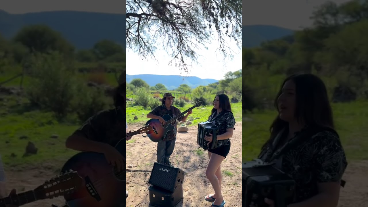 La Pagada | Los Reales del Norte #Acordeon #gabbanelli