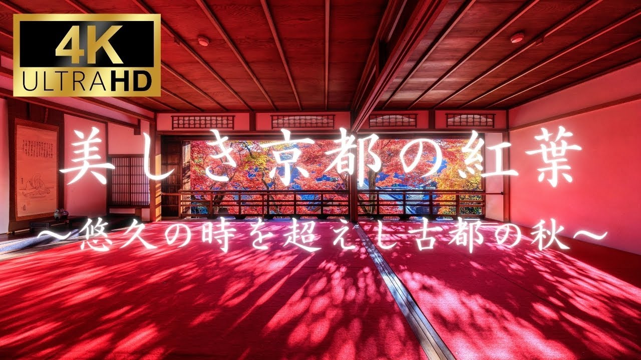 【写真家45選】美しき京都の紅葉～悠久の時を超えし古都の秋～