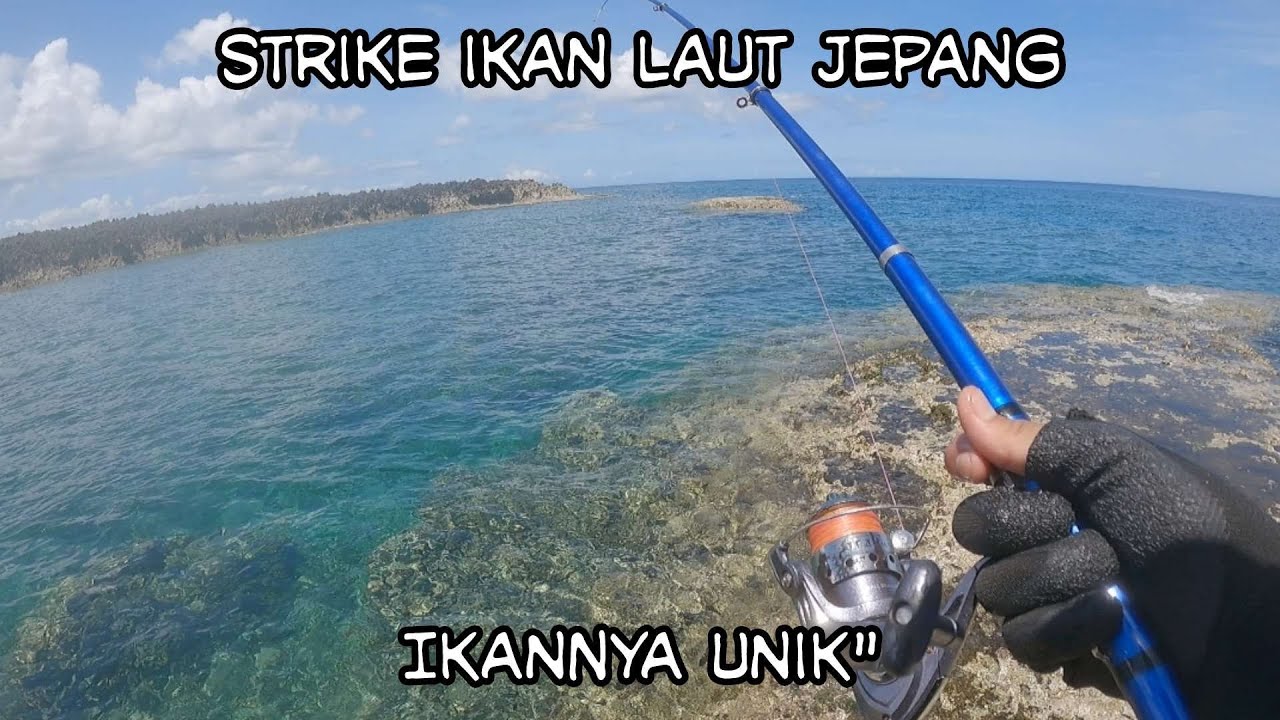 MANTAP ABIS❗Strike mancing di laut bersama orang jepang | JEPANG