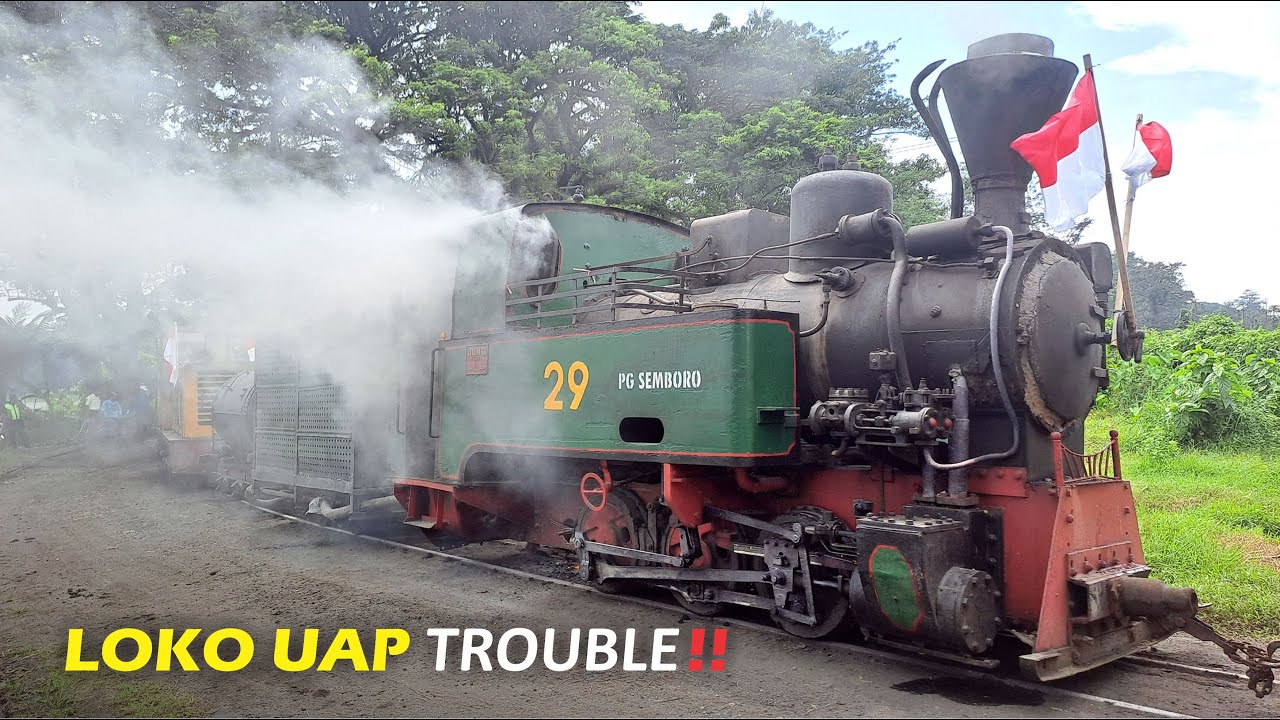 Паровоз был запущен, но потерпел неудачу‼️ Парад поездов Semboro Sugar Train Power Parade
