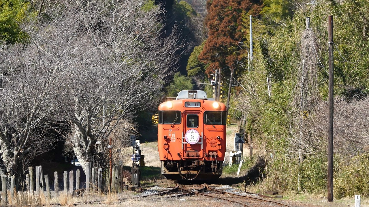 ラストラン？ 上総中野駅「さくら」発着 2026年2月28日