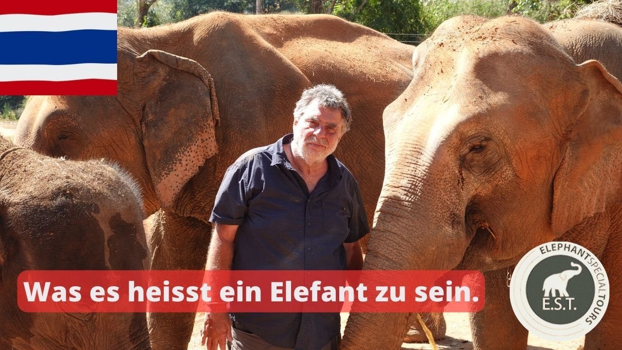 Was ist ein Elefant