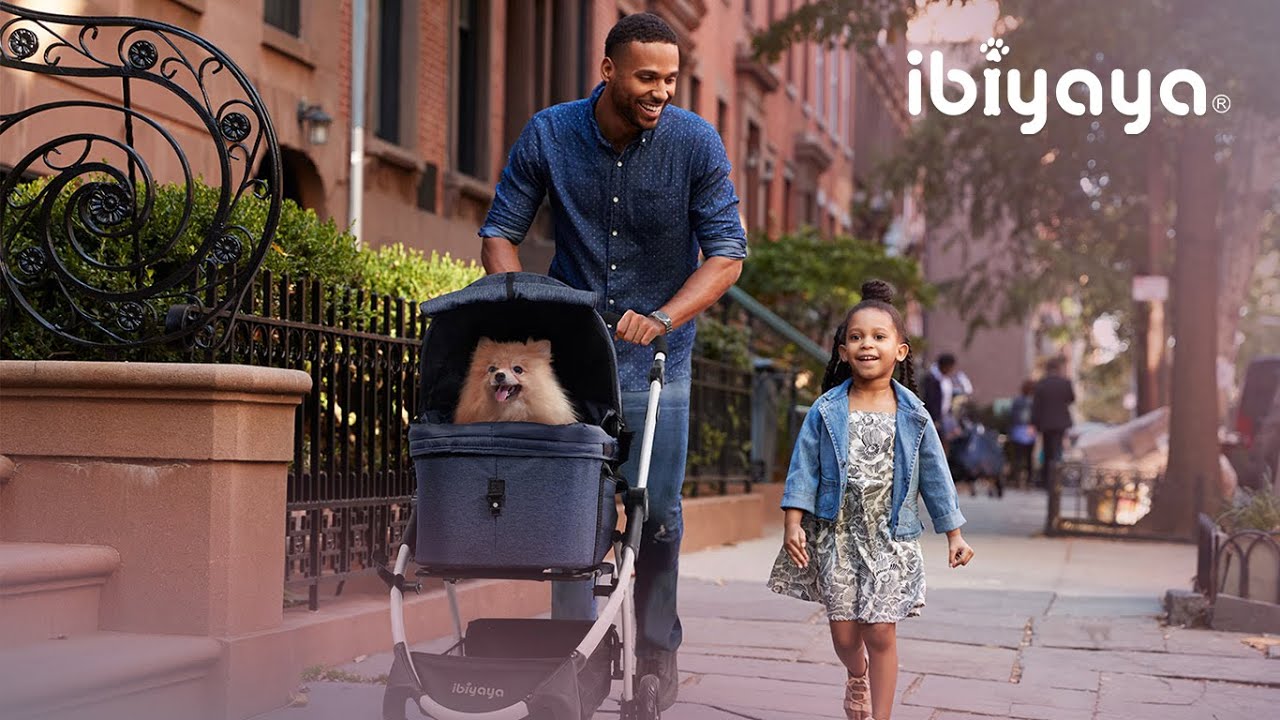 Make Trips With Your Pet Fun and Convenient I FS2191 Cleo Travel System Pet Stroller