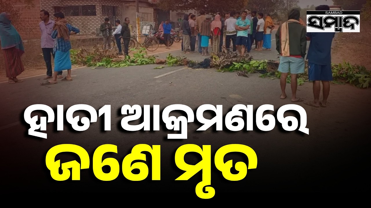 Elephant Attack Claims 2 Lives In Khordha District | Odisha Elephant Tragedy | Sambad