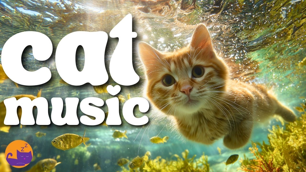 MAGIC CAT MUSIC ✨ Anxiety Cure for Cats 🐱 Home Alone Music 🎼❤️
