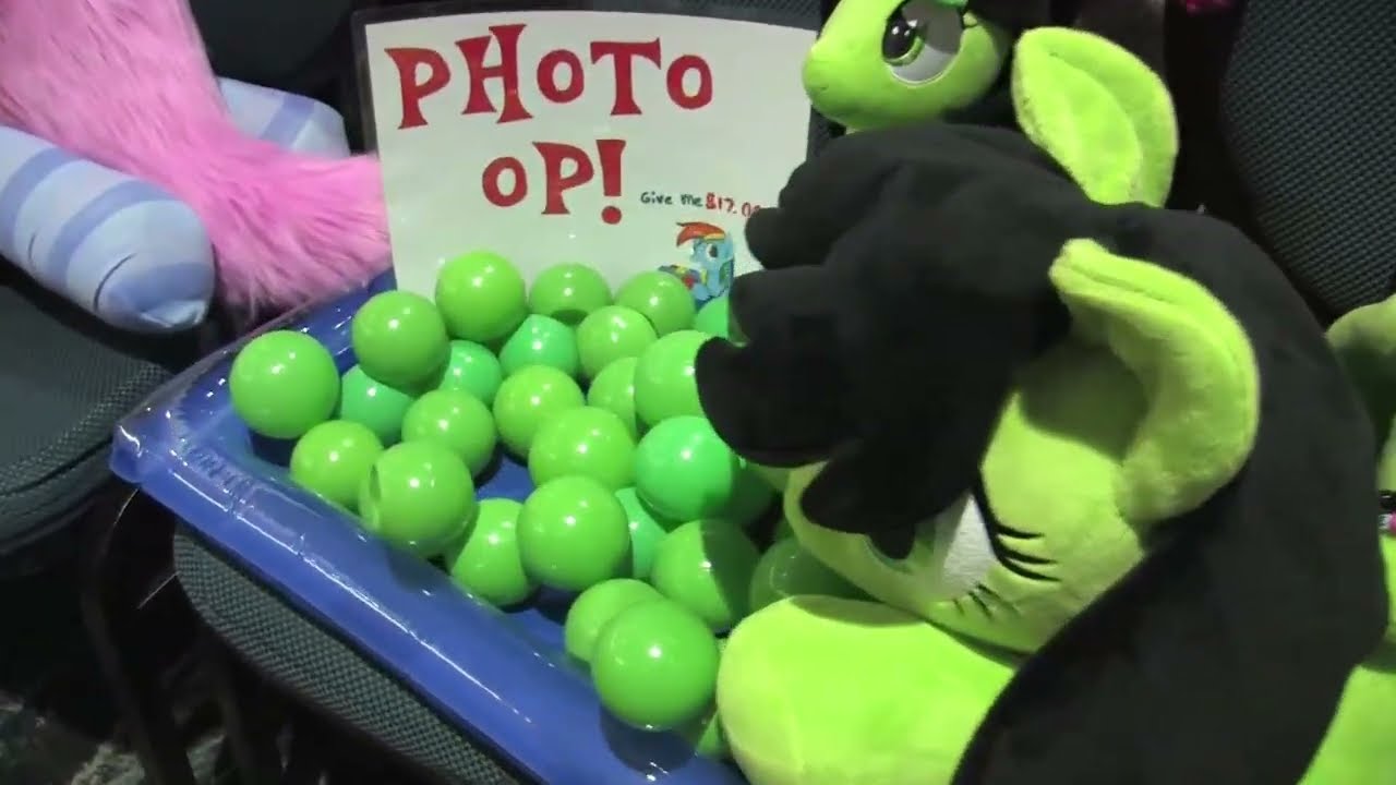 Plush at Mare Fair 2025