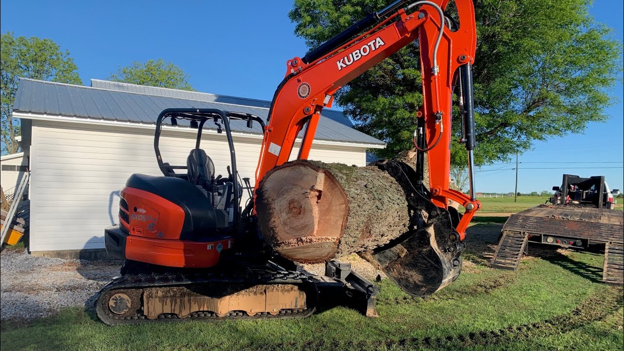 Kubota mini excavator against a  33” pecan tree!