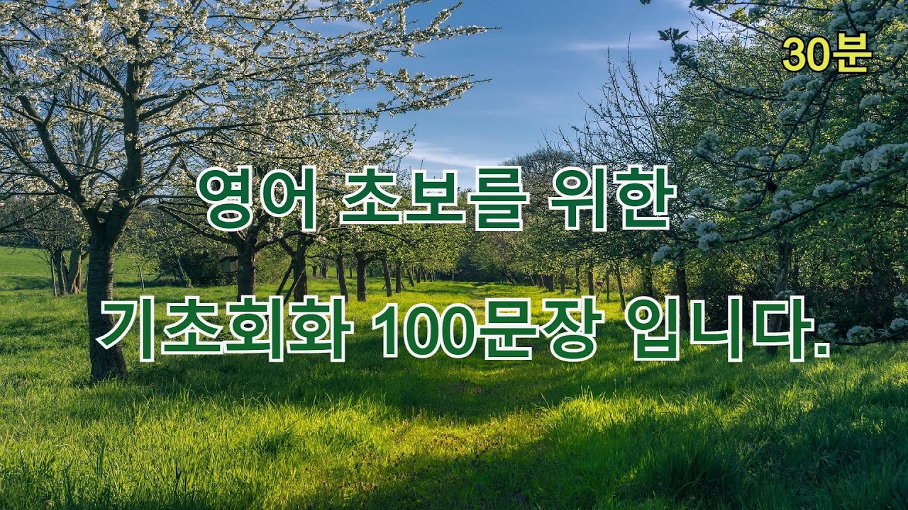 영어 초보를 위한 30분 기초 회화 100문장입니다.
