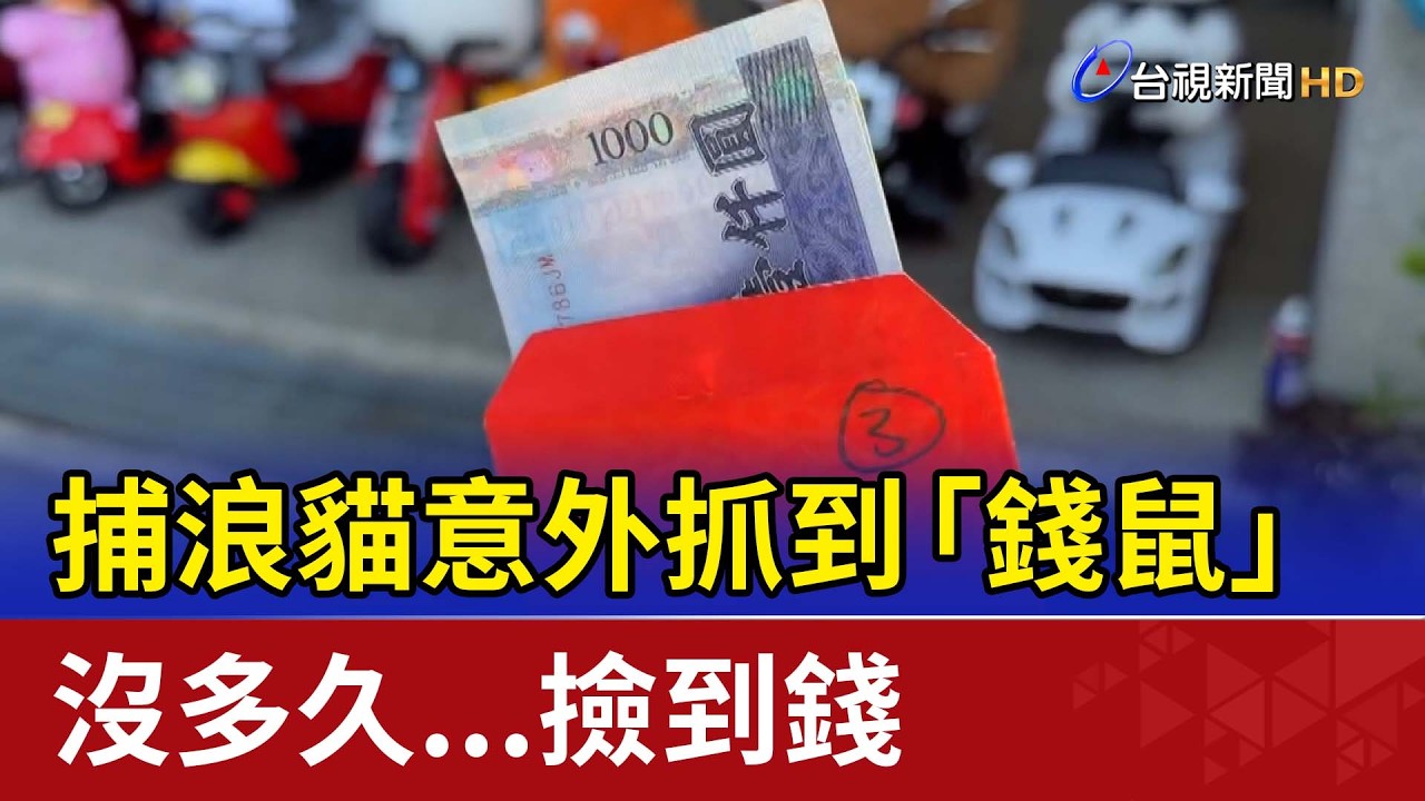 捕浪貓意外抓到「錢鼠」 沒多久...撿到錢