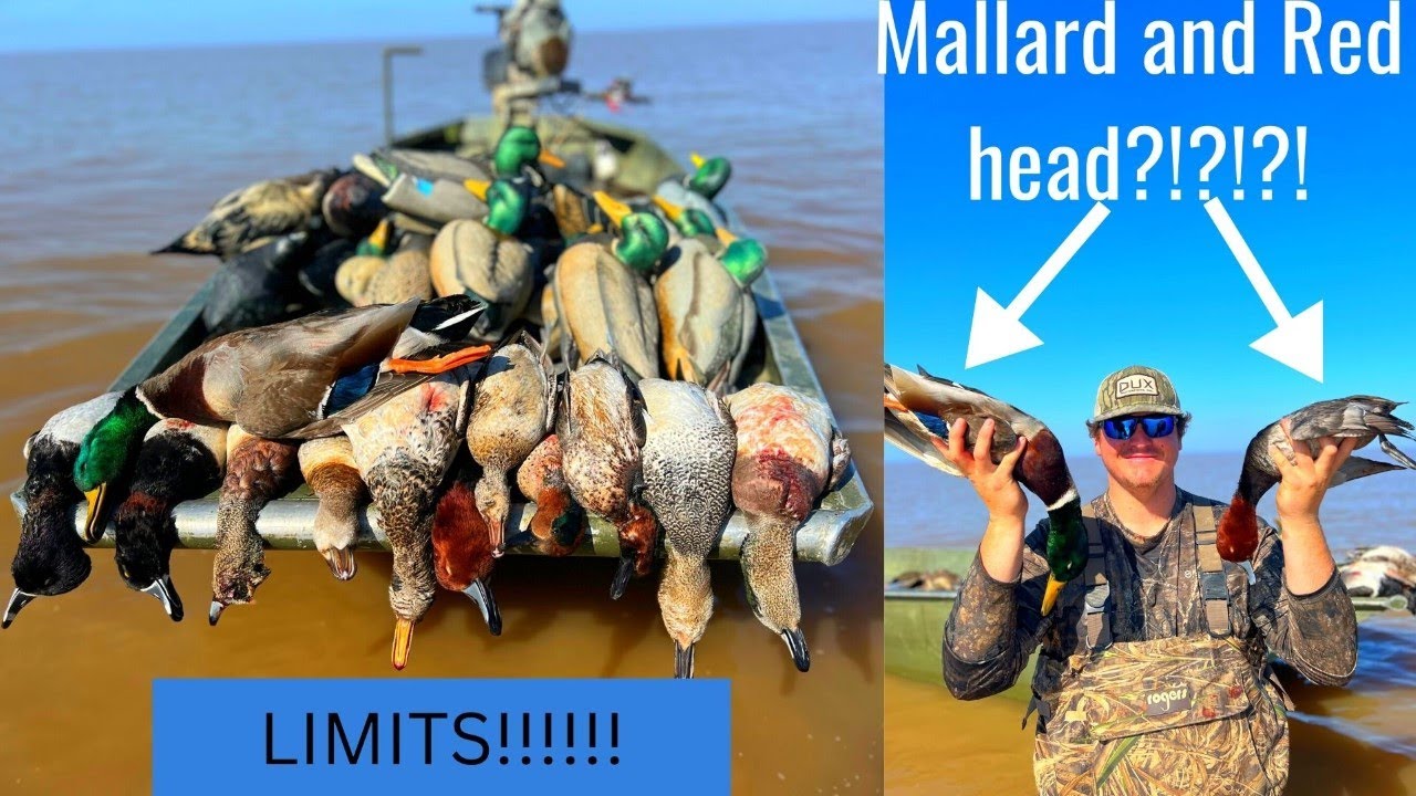 Absolute BANGER 2 Man Limit with 7 DIFFERENT SPECIES!!!!