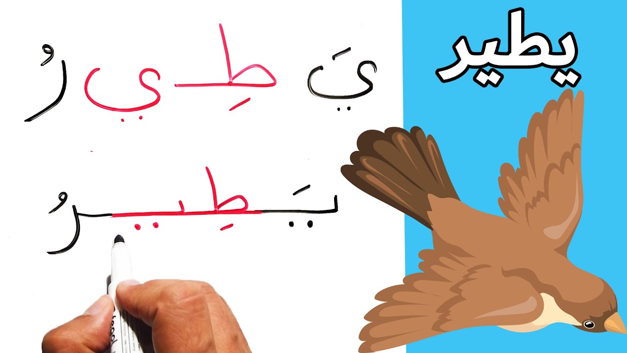 المد بالياء كلمات قصيرة من الحروف العربية تعليم القراءة والكتابة محو الامية Read short Arabic words