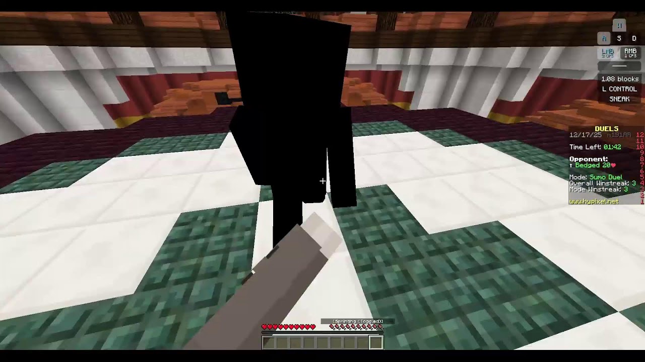 lvl 250 today | hypixel