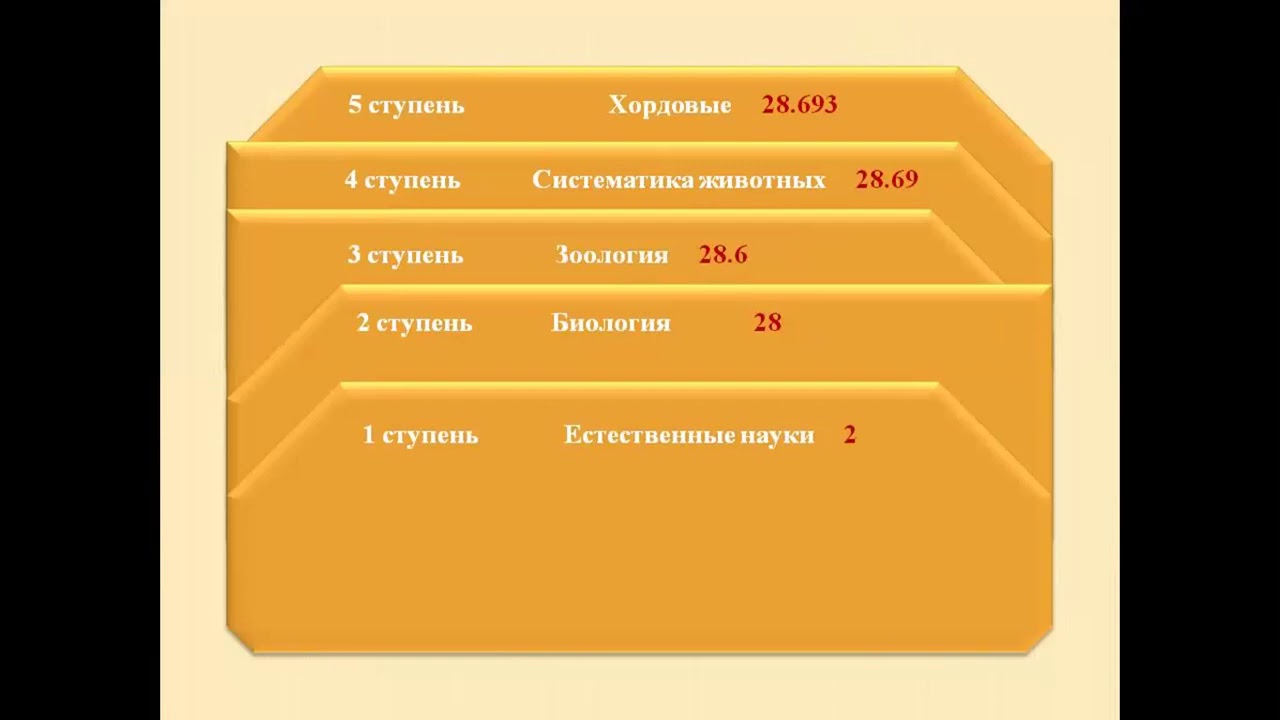 Даулеткалиева Г Китапхана корларын жане каталогтарын уйымдастыру