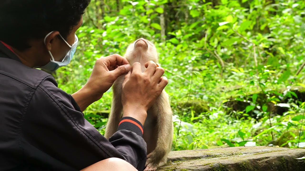 The best camera man massage for sleep at the day time, lucky new born in the team