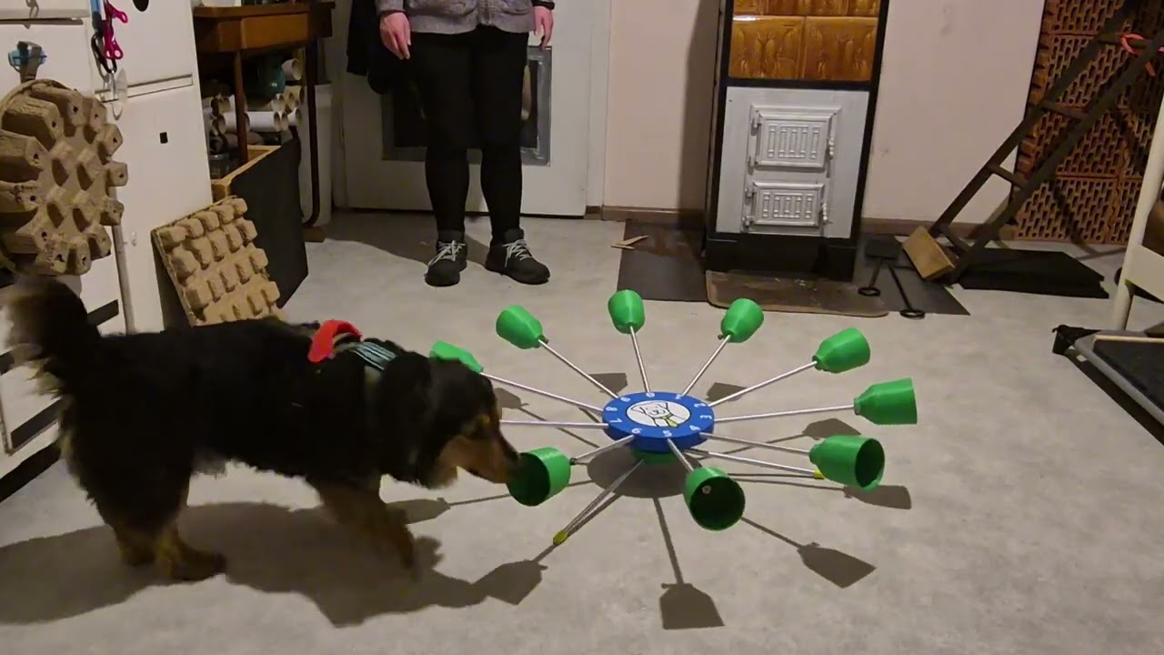 Karuzela Fluodog