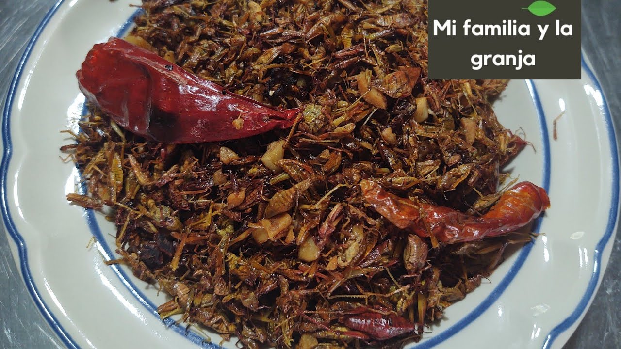 CÓMO PREPARAR CHAPULINES & HOW TO PREPARE CHAPULINES