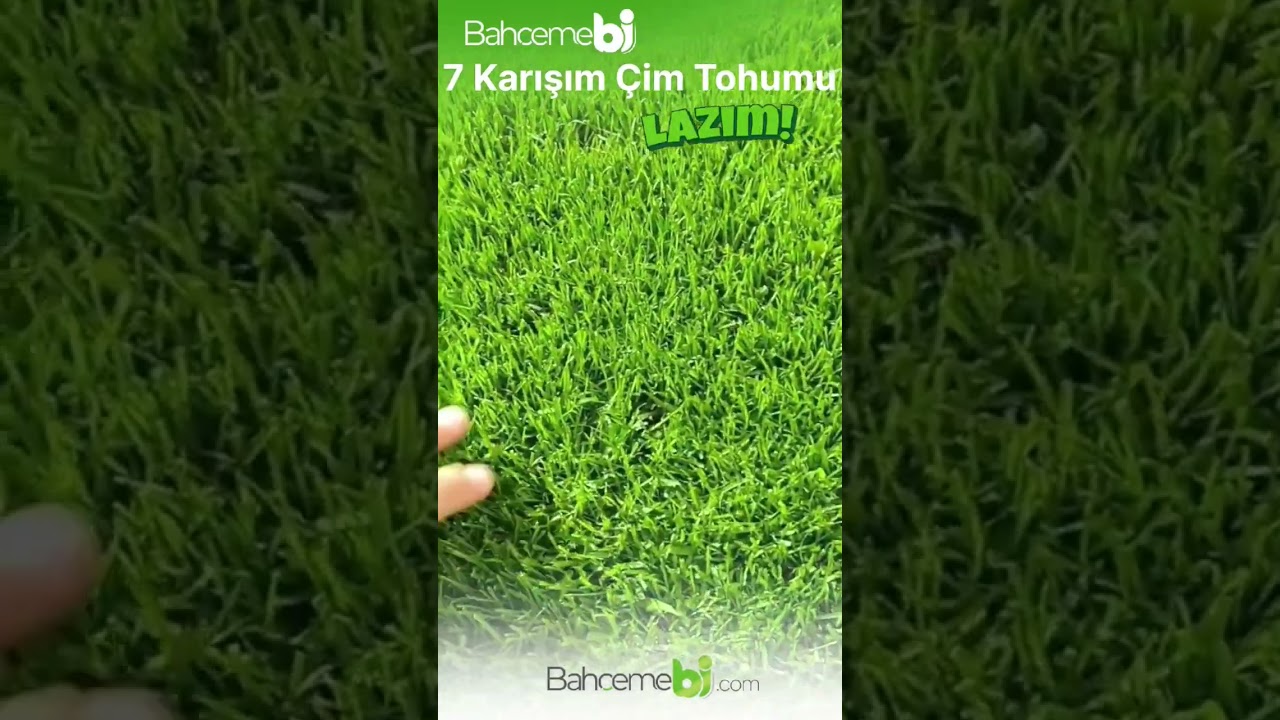 🍀7 Karışım Çim Tohumu Ve Tüm Özel Çeşitler BahcemeBi.com da.
