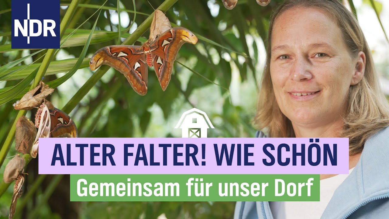 Schmetterlinge im Tropenhaus | Folge 1 | NDR auf'm Land | Gemeinsam für unser Dorf
