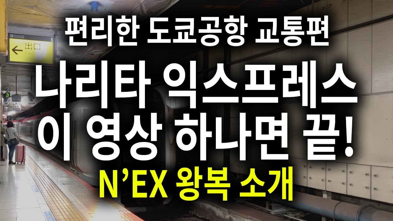 🇯🇵도쿄 나리타 공항에서 이동 편리한 나리타 익스프레스 티켓 구매 등 넥스의 모든 것을 자세히 소개합니다 | 🚝N'EX 왕복 (신주쿠/도쿄역 나리타 왕복 안내)