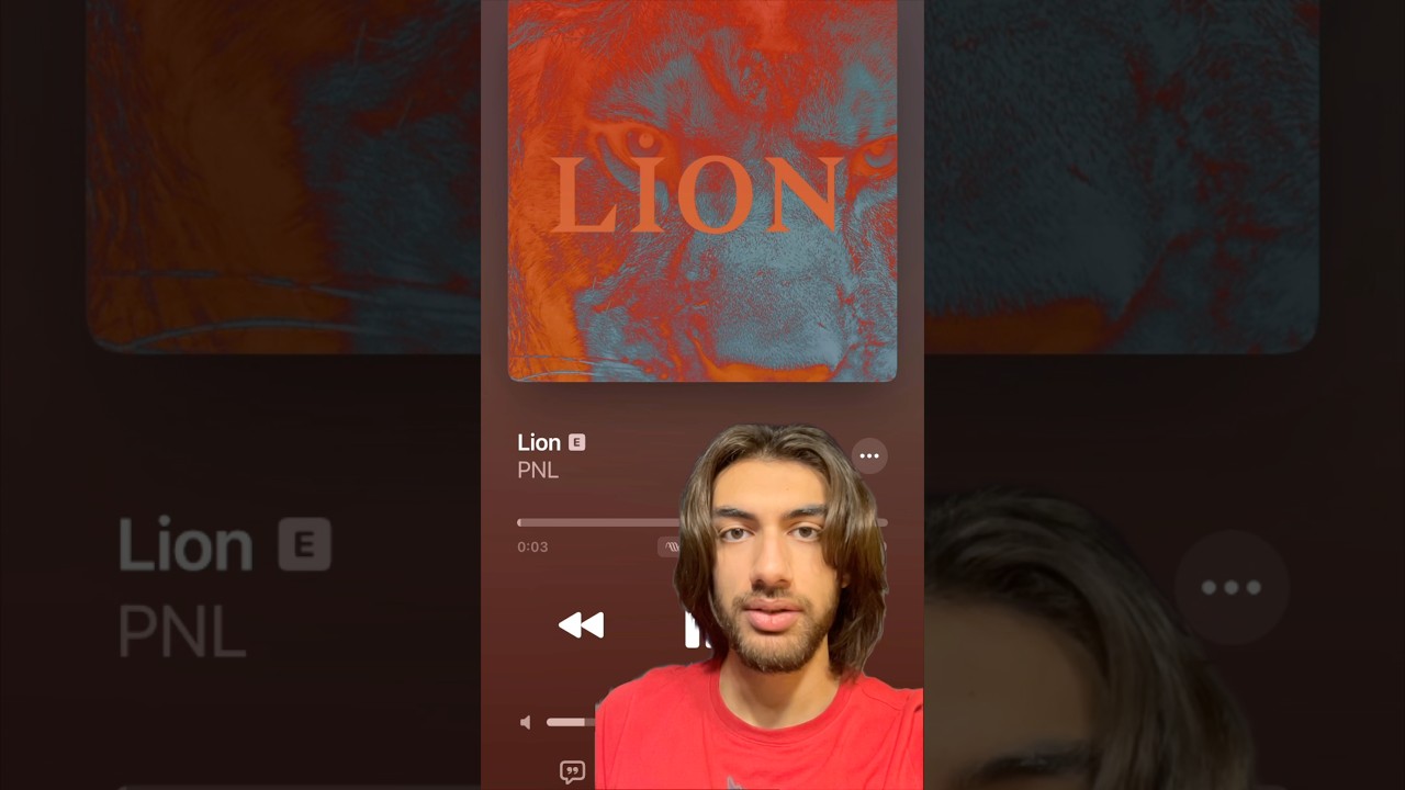 Ces musiques qui m’ont marqué Lion de pnl #rap #pnl