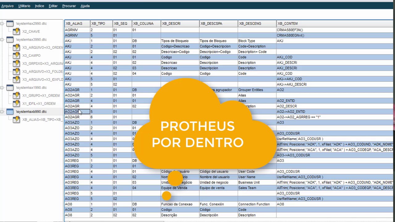 ADVPL Para Leigos 1.0 - Dicionario de Dados