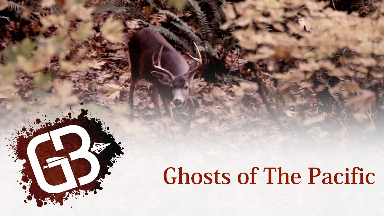 Ghosts of the Pacific