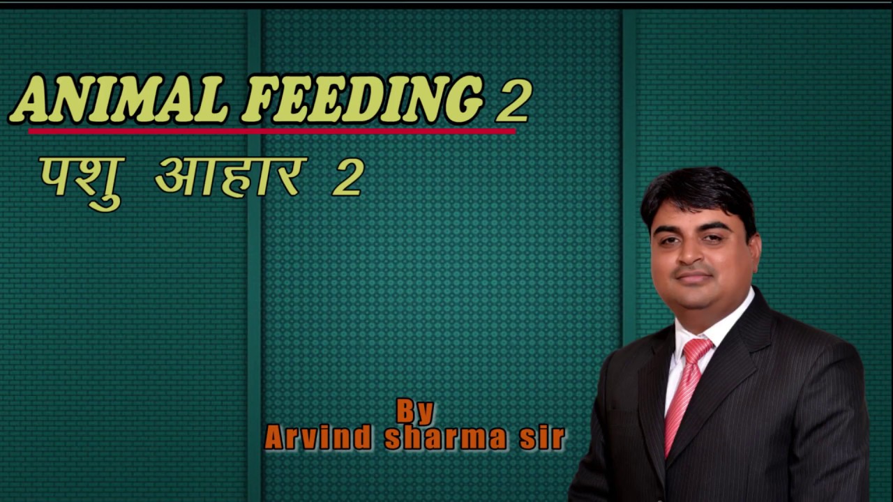 ANIMAL FEEDING 2 I CRASH COURSE RAPID REVISION I MGCI