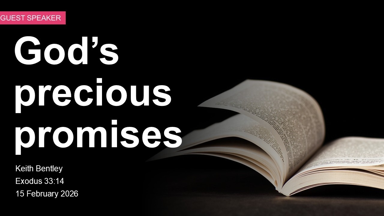 God's precious promises