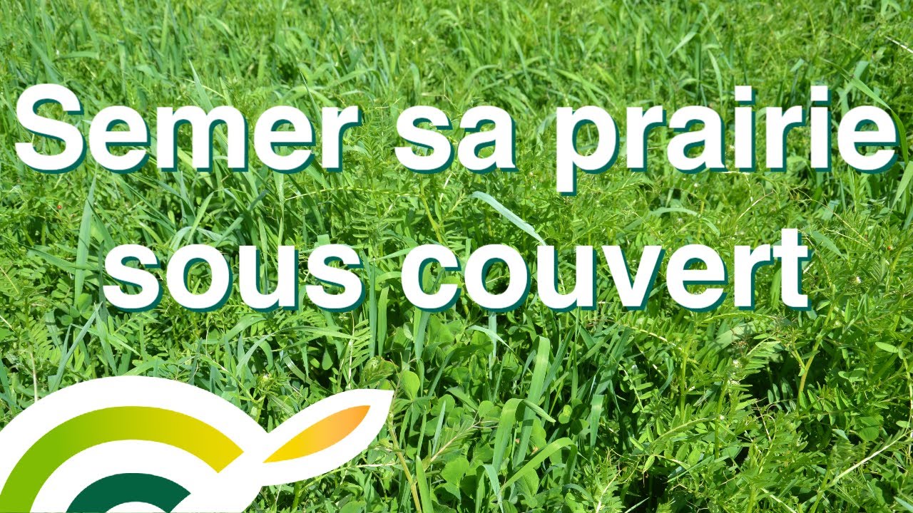 Semer sa prairie sous couvert - Cérience