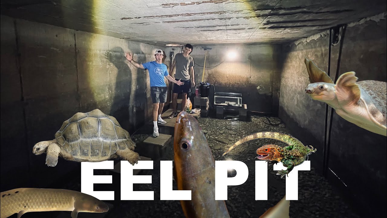 EEL PIT GUY'S  FULL HOUSE TOUR! (Cowturtle)