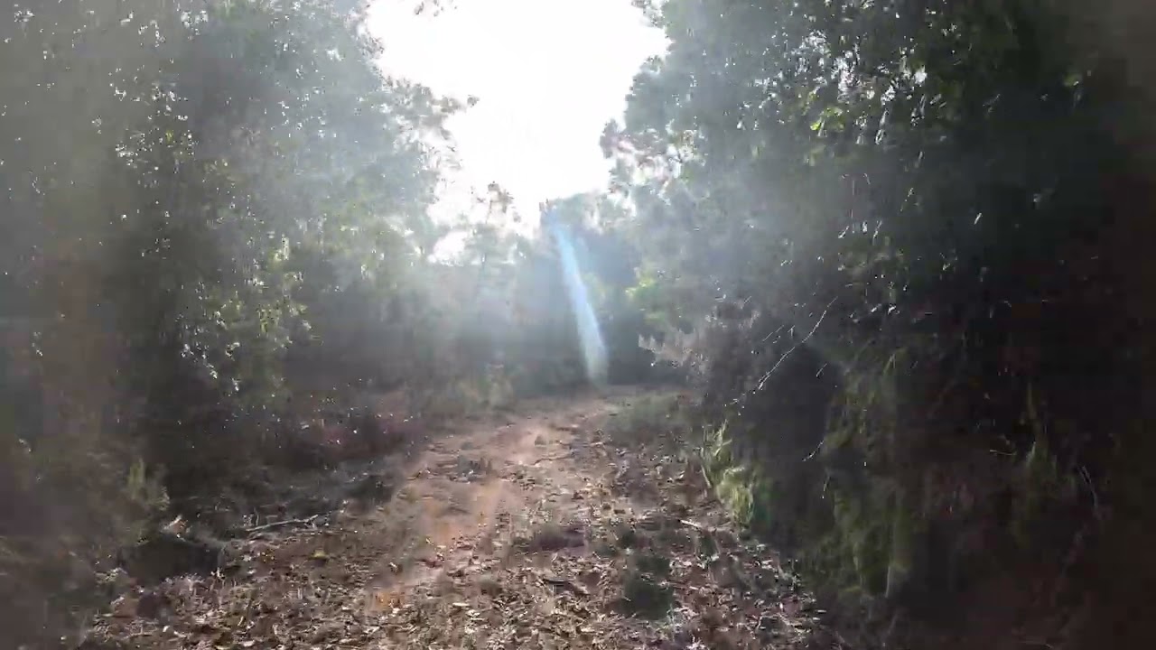 8.2.2026 FOGARS.  La Gran Trialera