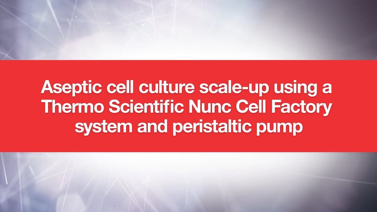Aseptic cell culture scale-up using Thermo Scientific Nunc Cell Factory System, tubing, and pump