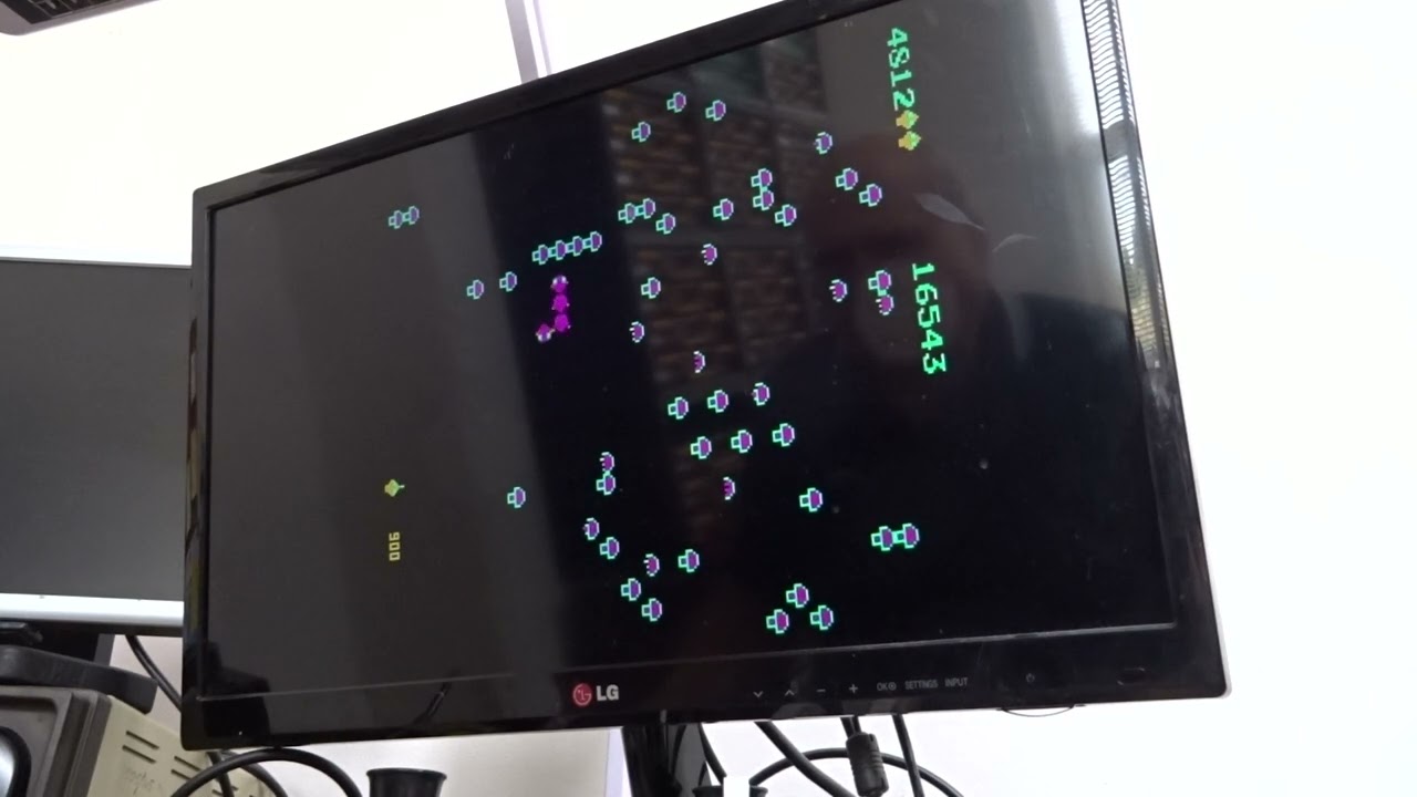 RCR00838 - Centipede